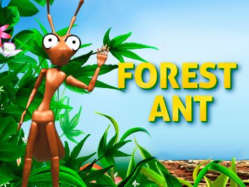Forest Ant